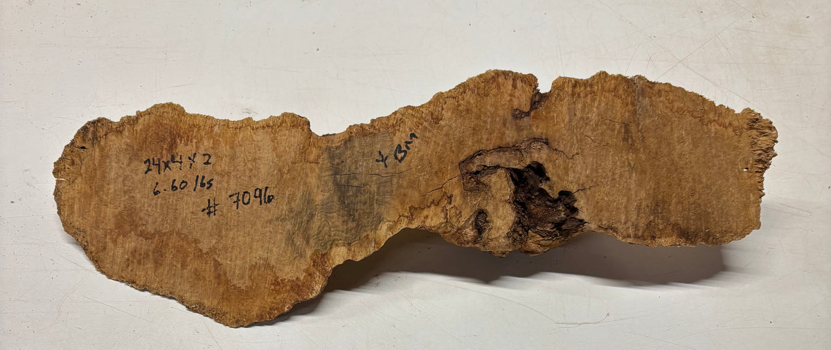Brown Mallee Burl Cap 24" x 4" x 2" 6.6 Lbs #7096 - Exotic Wood Zone
