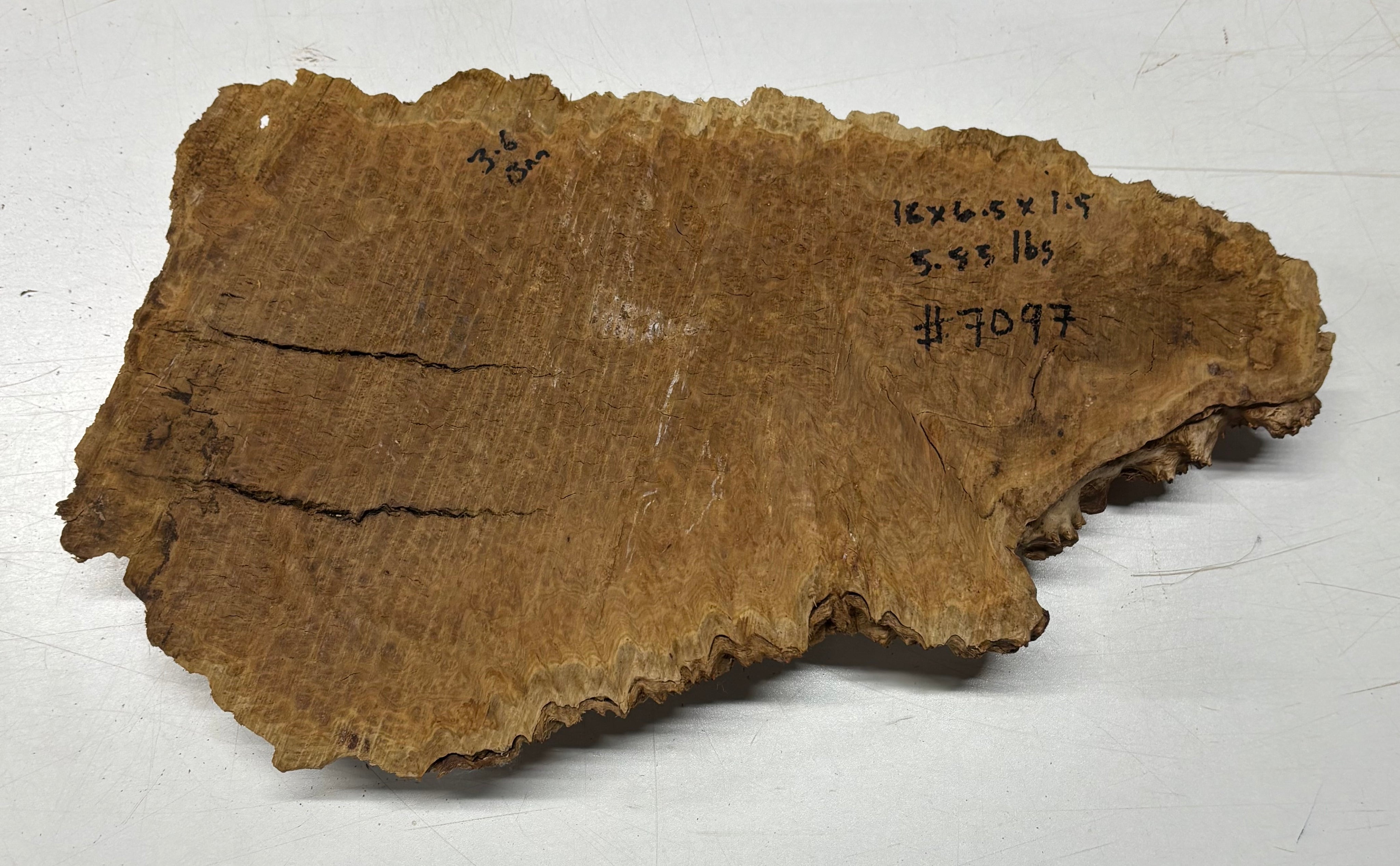 Brown Mallee Burl Cap 16" x 6.5" x 1.5" 5.85 Lbs #7097 - Exotic Wood Zone