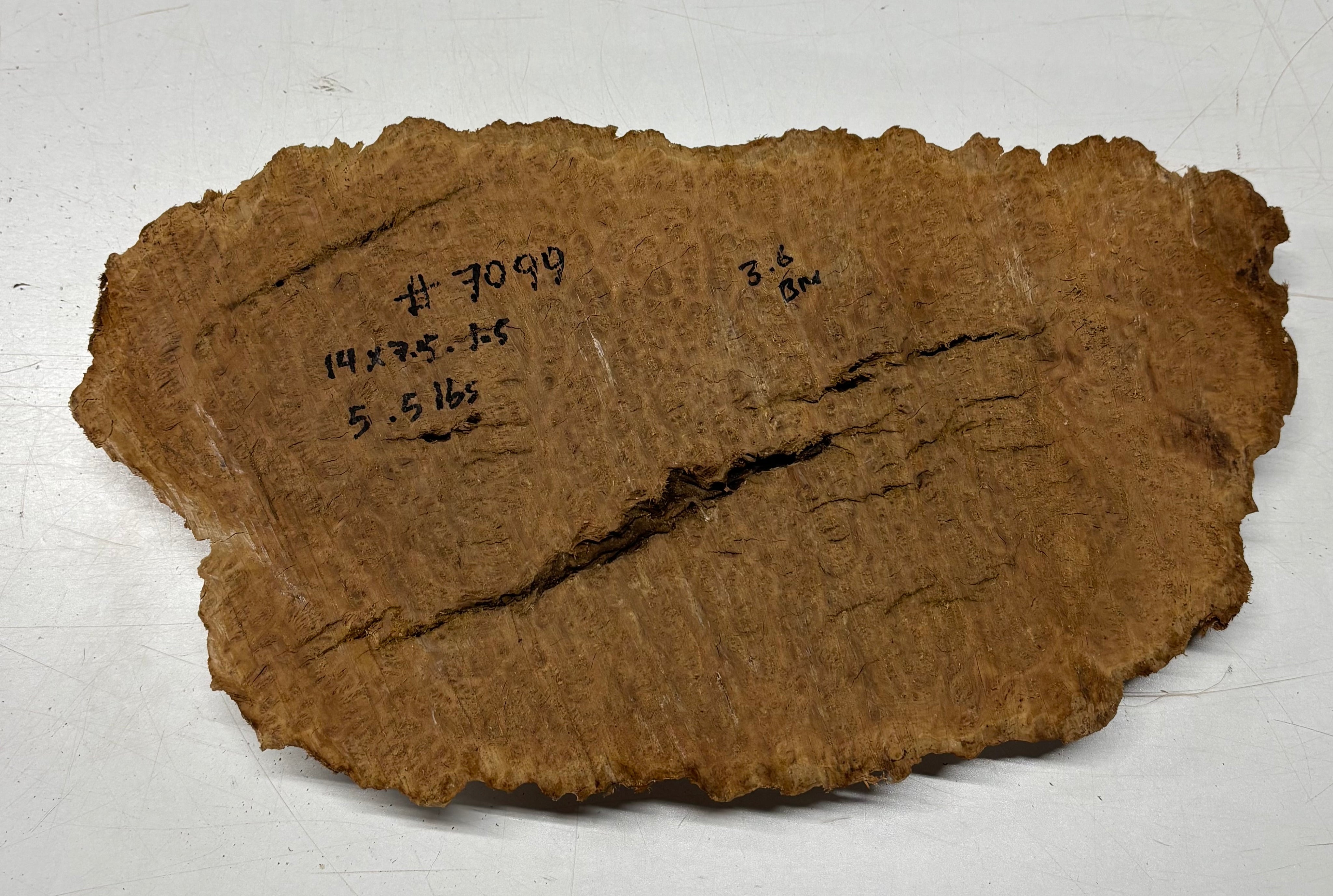Brown Mallee Burl Cap 14" x 7.5" x 1.5" 5.5 Lbs #7099 - Exotic Wood Zone