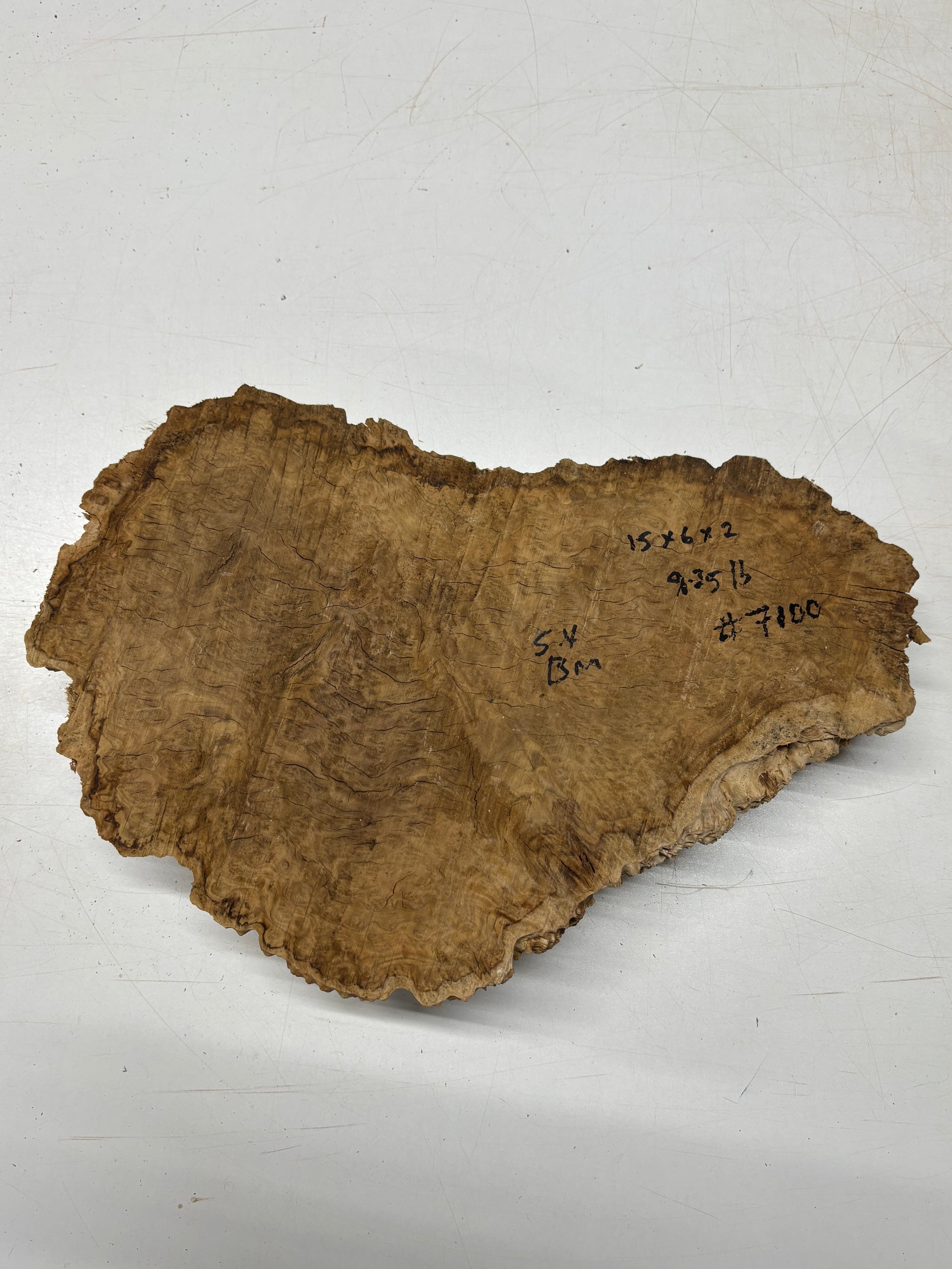 Brown Mallee Burl Cap 15" x 6" x 2" 8.35 Lbs #7100 - Exotic Wood Zone