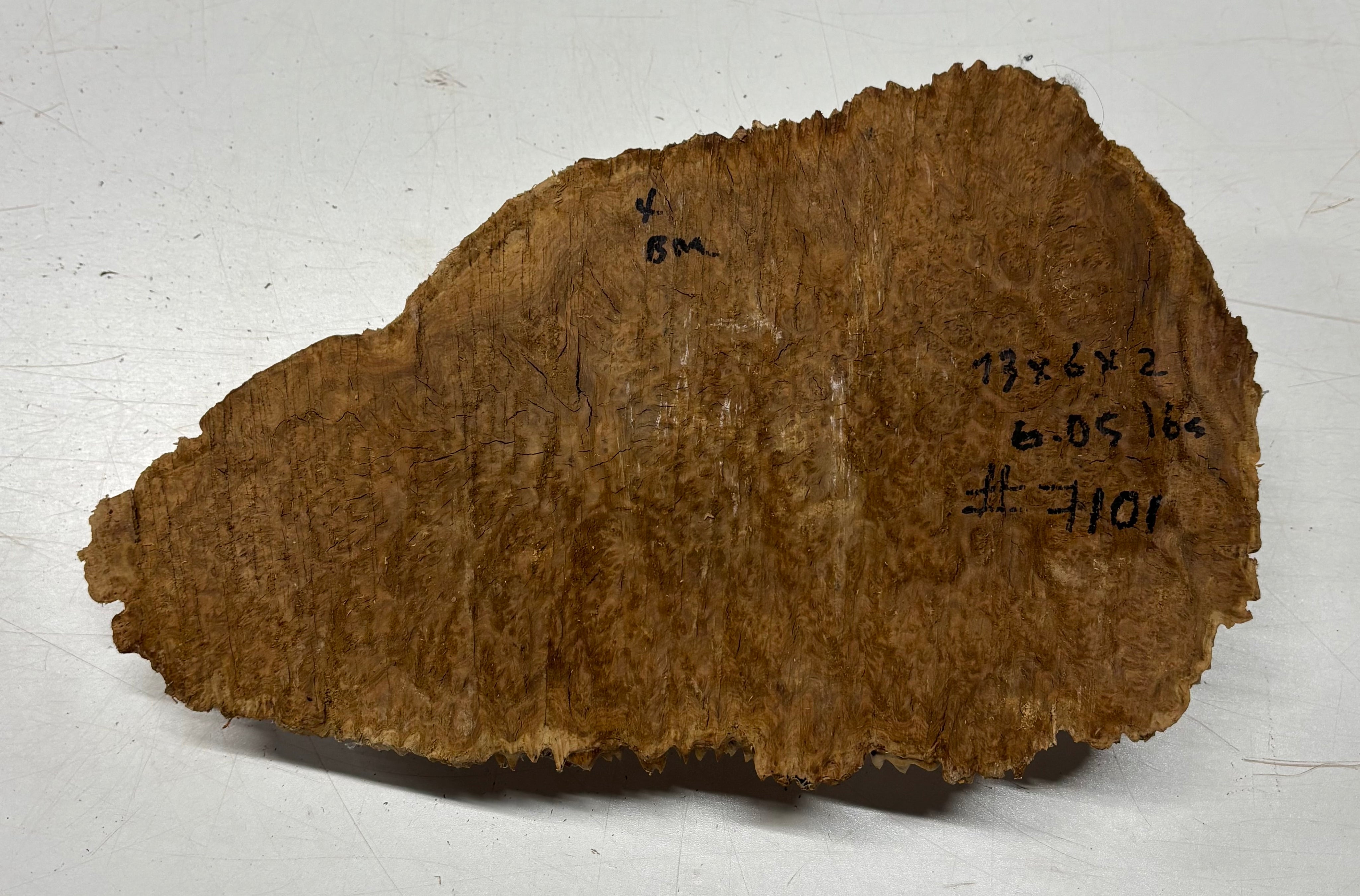 Brown Mallee Burl Blank 13" x 6" x 2" 6.05 Lbs #7101 - Exotic Wood Zone