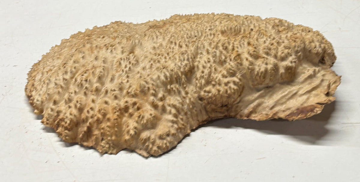 Brown Mallee Burl Blank 15" x 8.5" x 2" 8.1 Lbs #7102 - Exotic Wood Zone