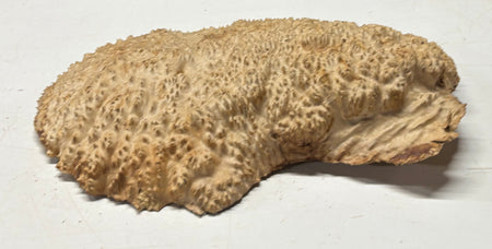 Brown Mallee Burl Blank 15" x 8.5" x 2" 8.1 Lbs #7102 - Exotic Wood Zone