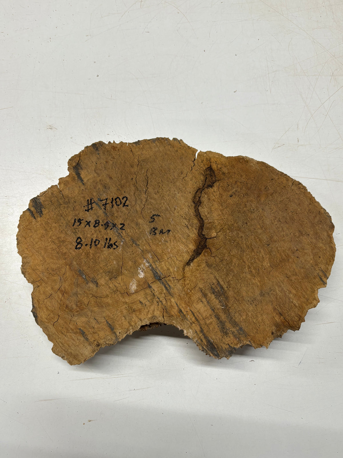 Brown Mallee Burl Blank 15" x 8.5" x 2" 8.1 Lbs #7102 - Exotic Wood Zone