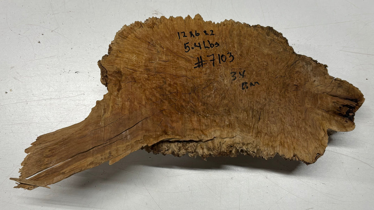 Brown Mallee Burl Blank 12" x 6" x 2" 5.4 Lbs #7103 - Exotic Wood Zone
