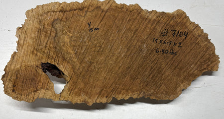 Brown Mallee Burl Blank 15" x 6.5" x 2" 6.5 Lbs #7104 - Exotic Wood Zone