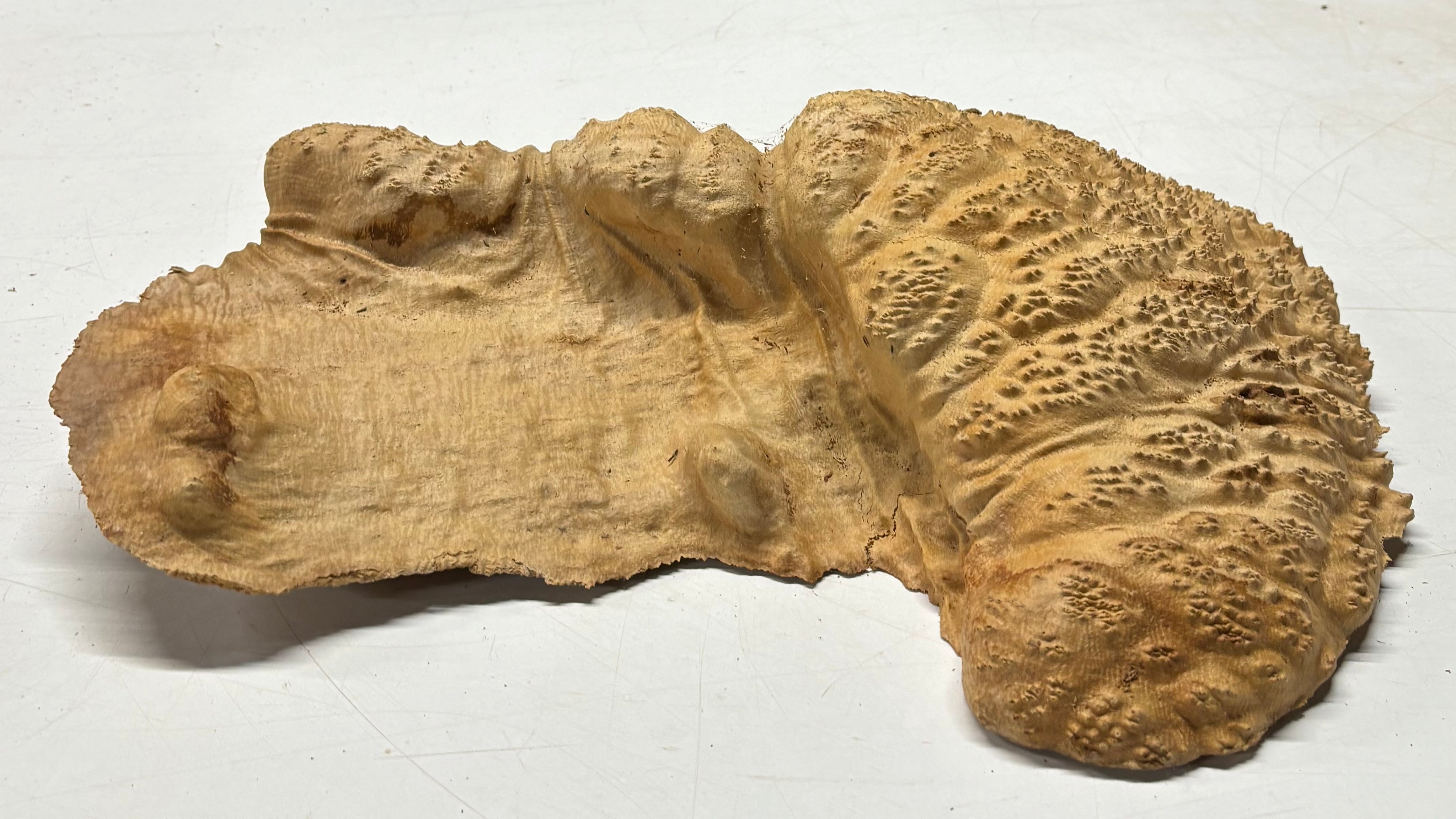 Brown Mallee Burl Blank 18" x 7" x 3" 9.9 Lbs #7106 - Exotic Wood Zone