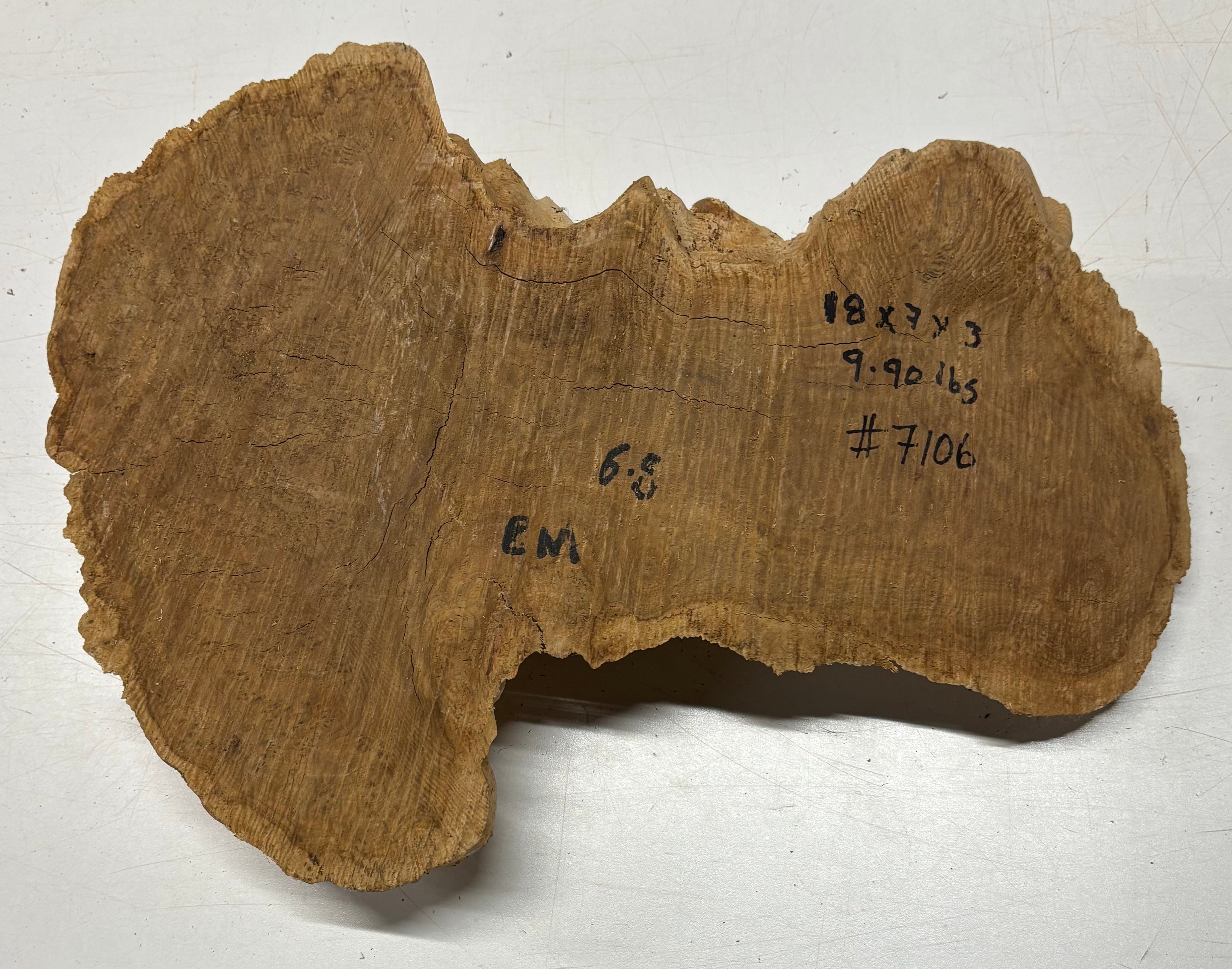 Brown Mallee Burl Blank 18" x 7" x 3" 9.9 Lbs #7106 - Exotic Wood Zone