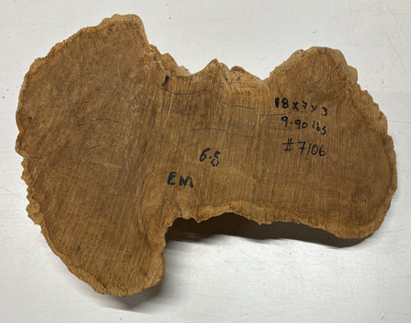 Brown Mallee Burl Blank 18" x 7" x 3" 9.9 Lbs #7106 - Exotic Wood Zone