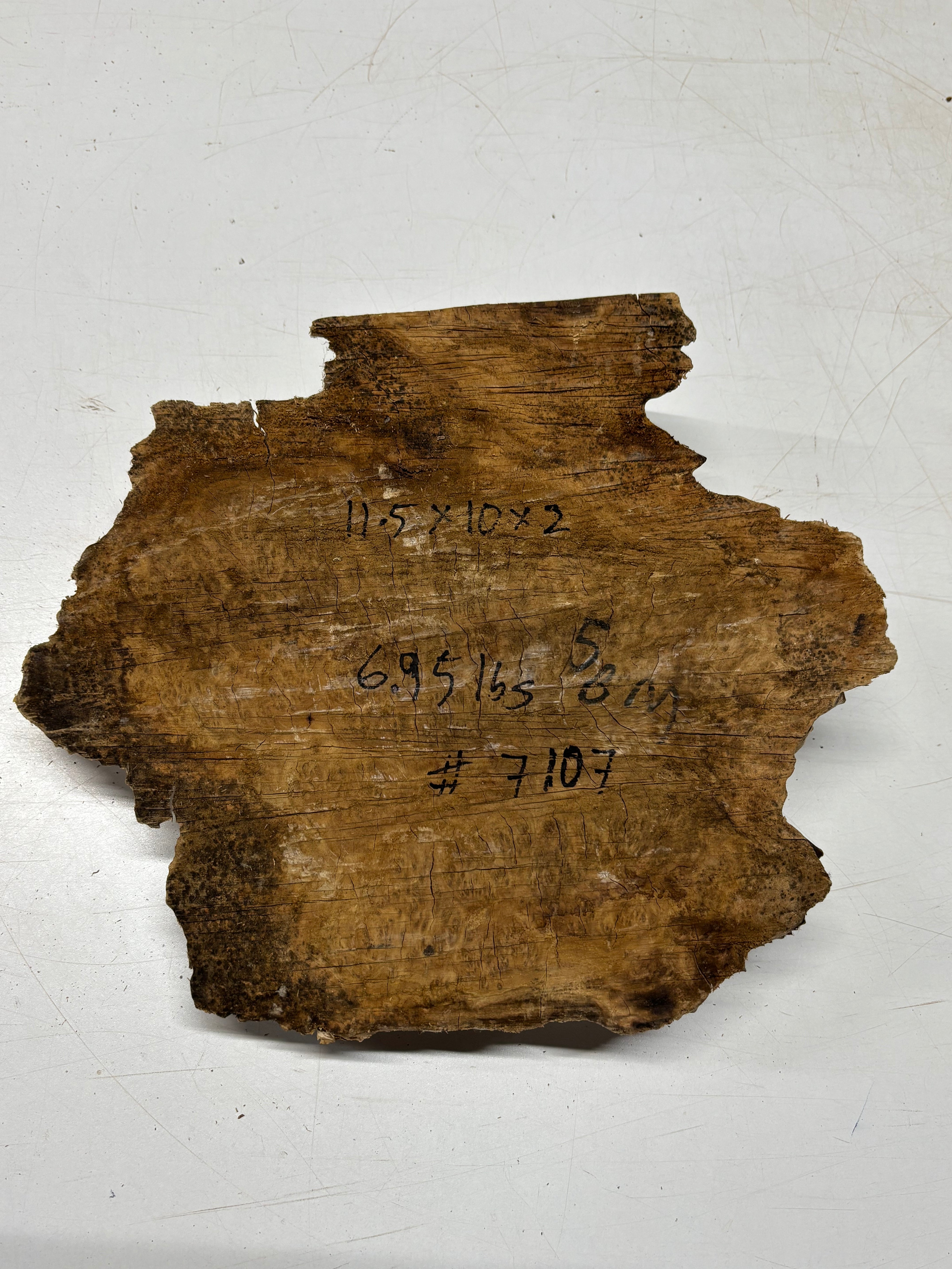 Brown Mallee Burl Blank 11.5" x 10" x 2" 6.95 Lbs #7107 - Exotic Wood Zone
