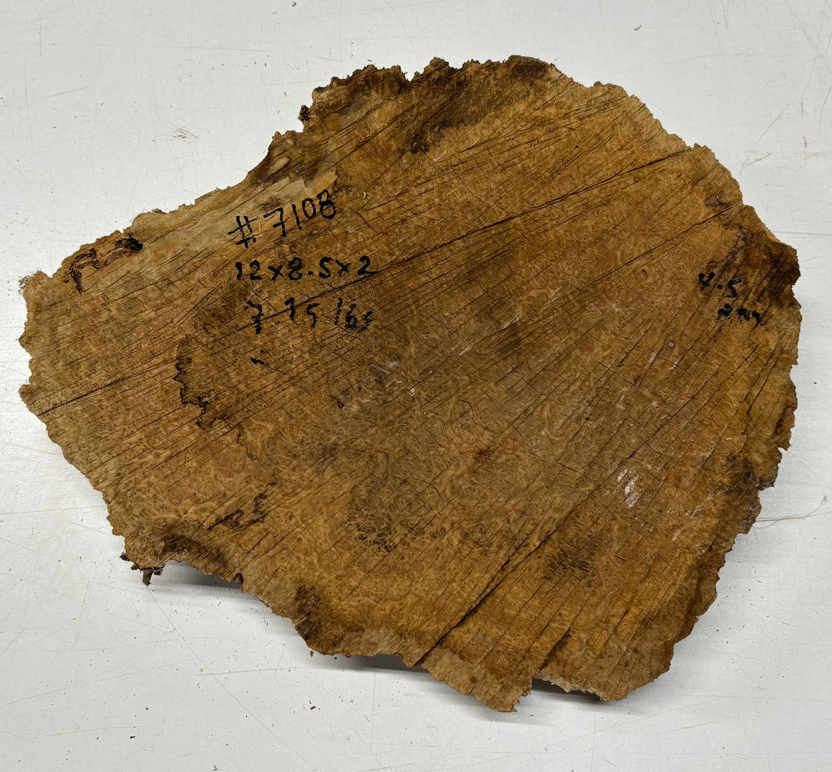 Brown Mallee Burl Blank 12" x 8.5" x 2" 7.15 Lbs #7108 - Exotic Wood Zone
