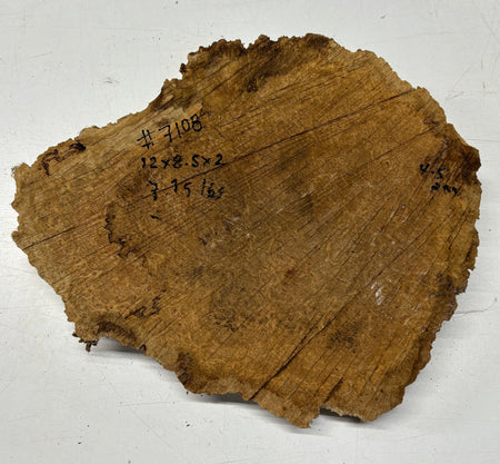 Brown Mallee Burl Blank 12" x 8.5" x 2" 7.15 Lbs #7108 - Exotic Wood Zone