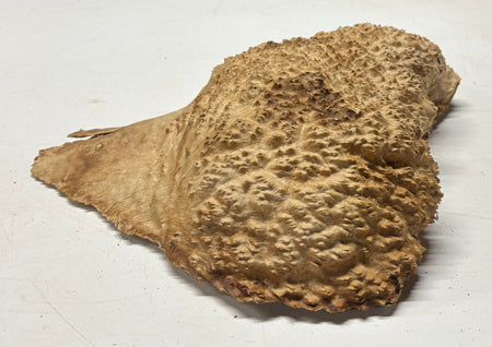 Brown Mallee Burl Blank 12" x 9.5" x 2.5" 7.8 Lbs #7111 - Exotic Wood Zone