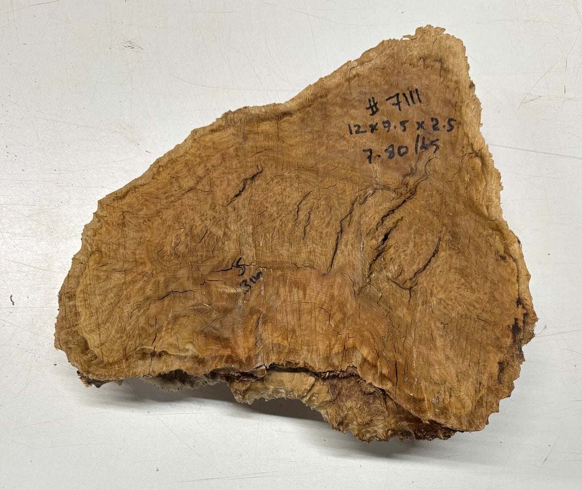 Brown Mallee Burl Blank 12" x 9.5" x 2.5" 7.8 Lbs #7111 - Exotic Wood Zone