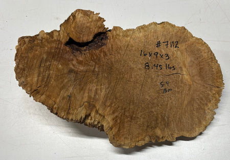 Brown Mallee Burl Blank 16" x 9" x 3" 8.45 Lbs #7112 - Exotic Wood Zone