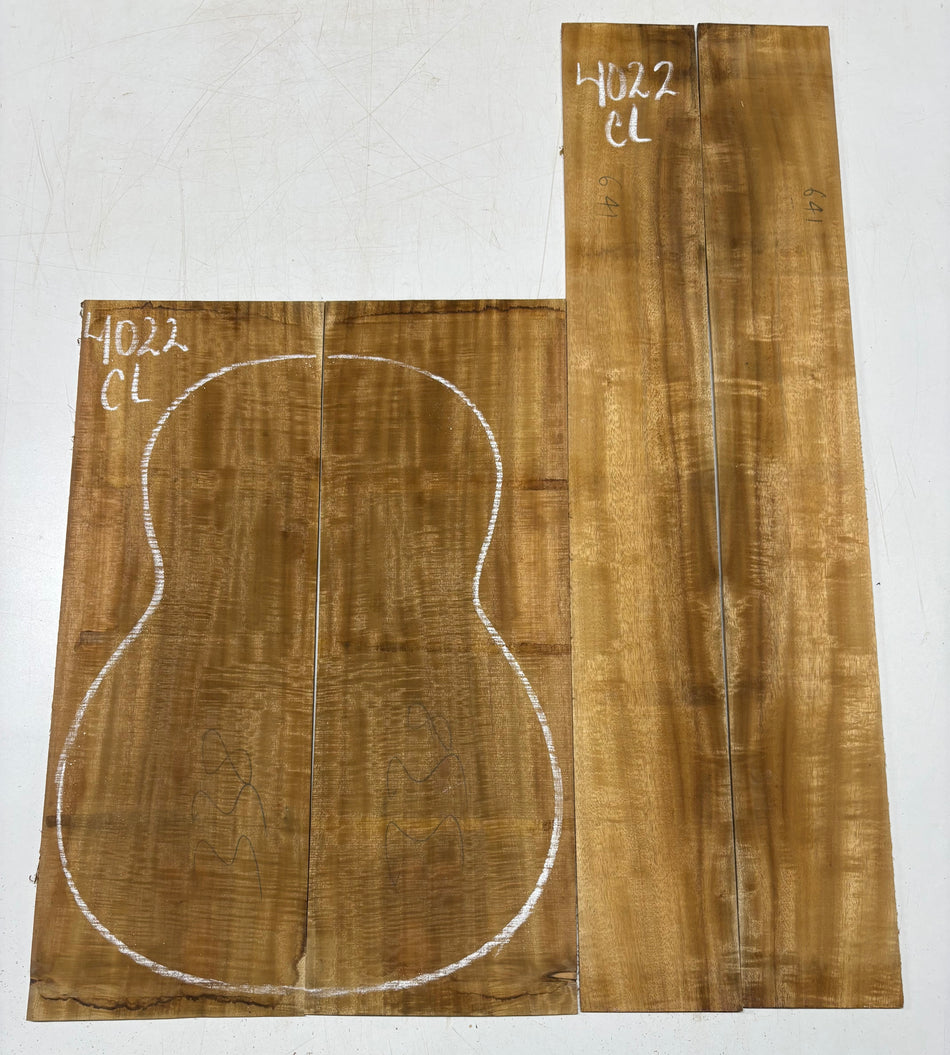 Juego de fondo y aros de guitarra de grado AAAA Dreadnought de palisandro de la India Oriental #61 