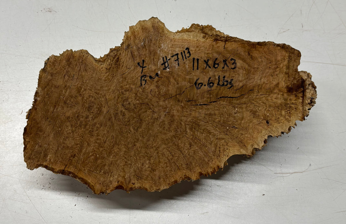 Brown Mallee Burl Blank 11" x 6" x 3" 6.6 Lbs #7113 - Exotic Wood Zone