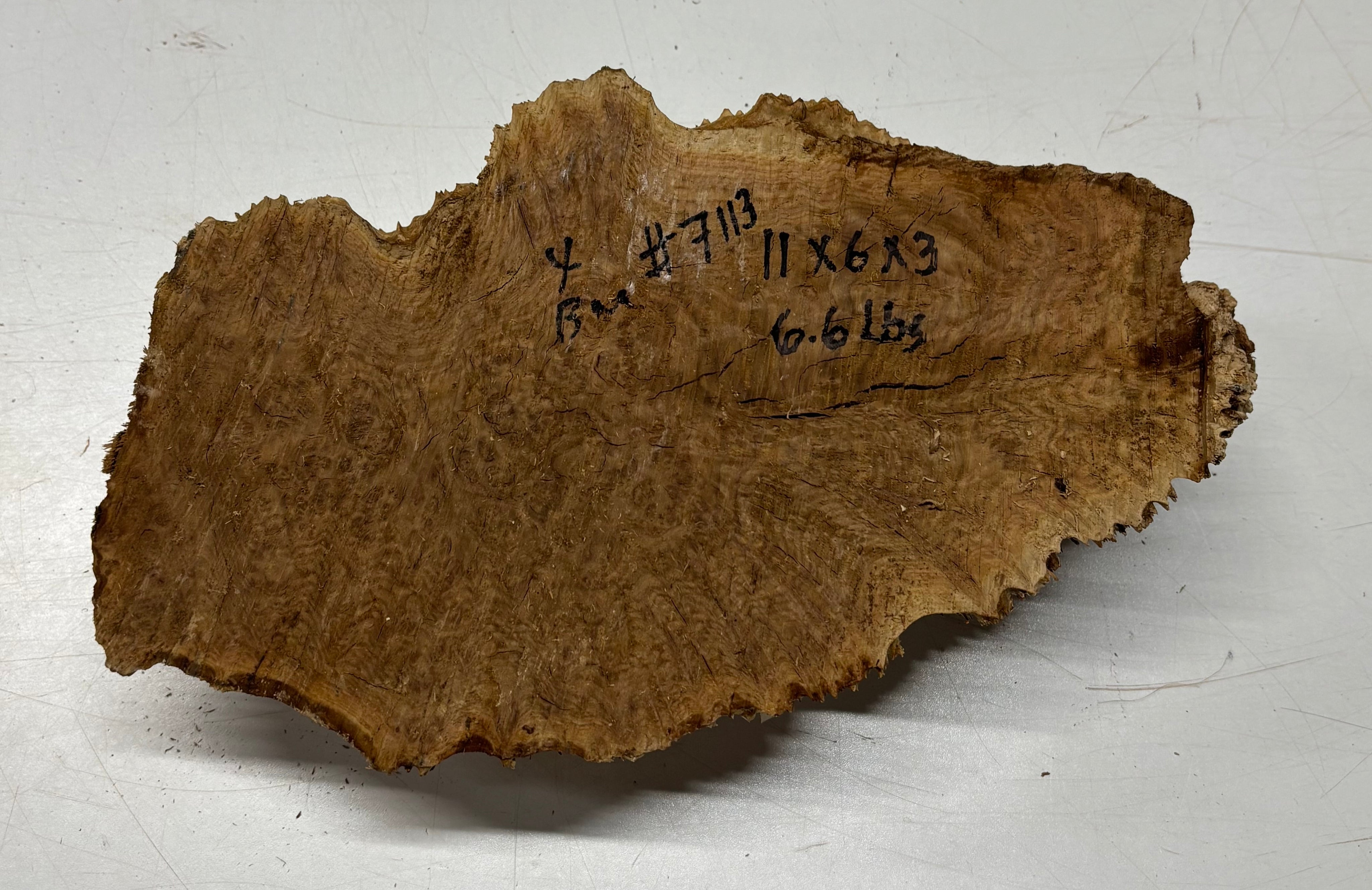Brown Mallee Burl Blank 11" x 6" x 3" 6.6 Lbs #7113 - Exotic Wood Zone