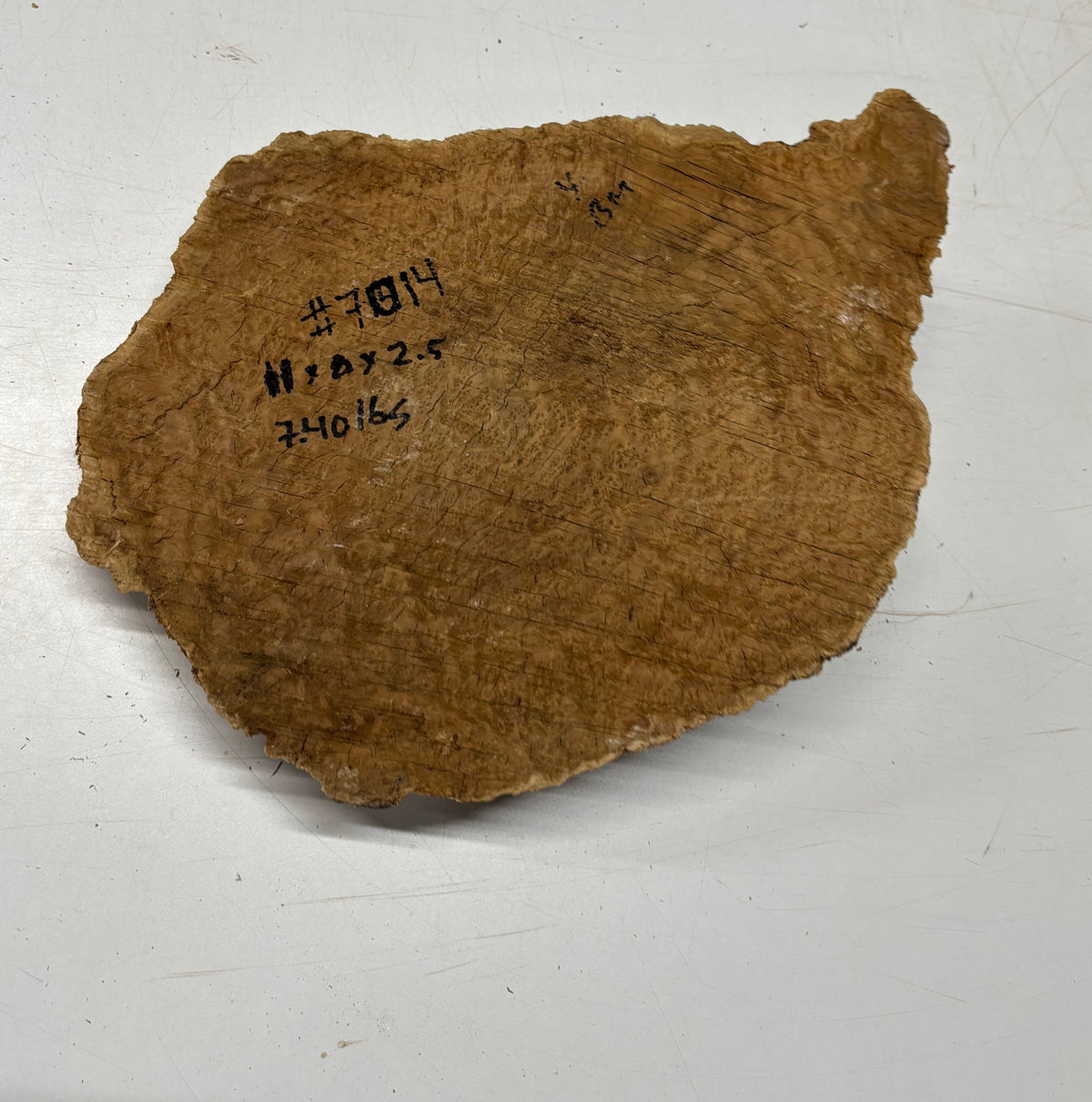 Brown Mallee Burl Blank 11" x 8" x 2.5" 7.4 Lbs #7014 - Exotic Wood Zone