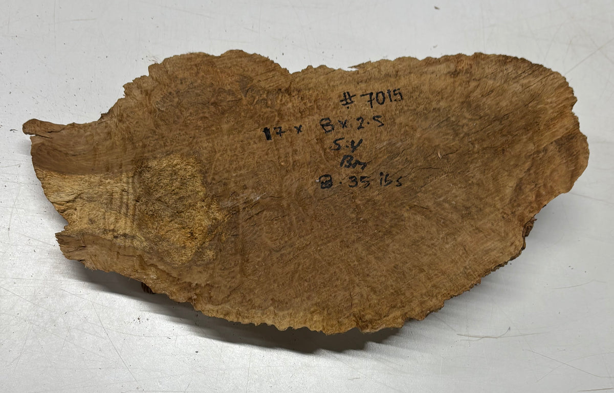 Brown Mallee Burl Blank 17" x 8" x 2.5" 8.35 Lbs #7015 - Exotic Wood Zone