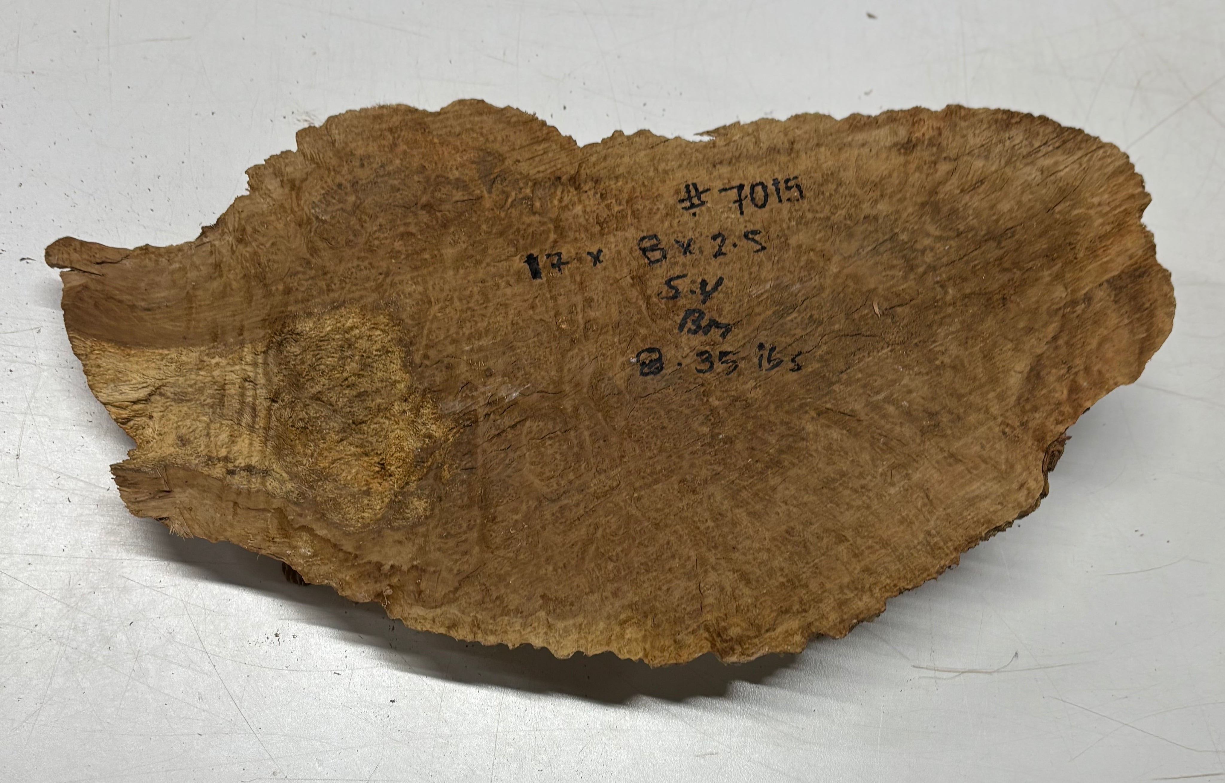 Brown Mallee Burl Blank 17" x 8" x 2.5" 8.35 Lbs #7015 - Exotic Wood Zone