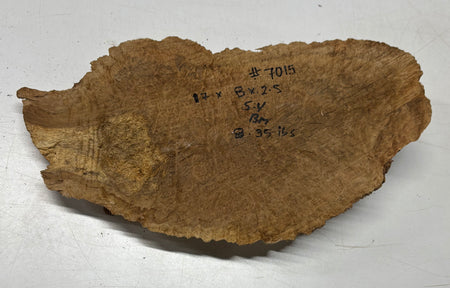 Brown Mallee Burl Blank 17" x 8" x 2.5" 8.35 Lbs #7015 - Exotic Wood Zone