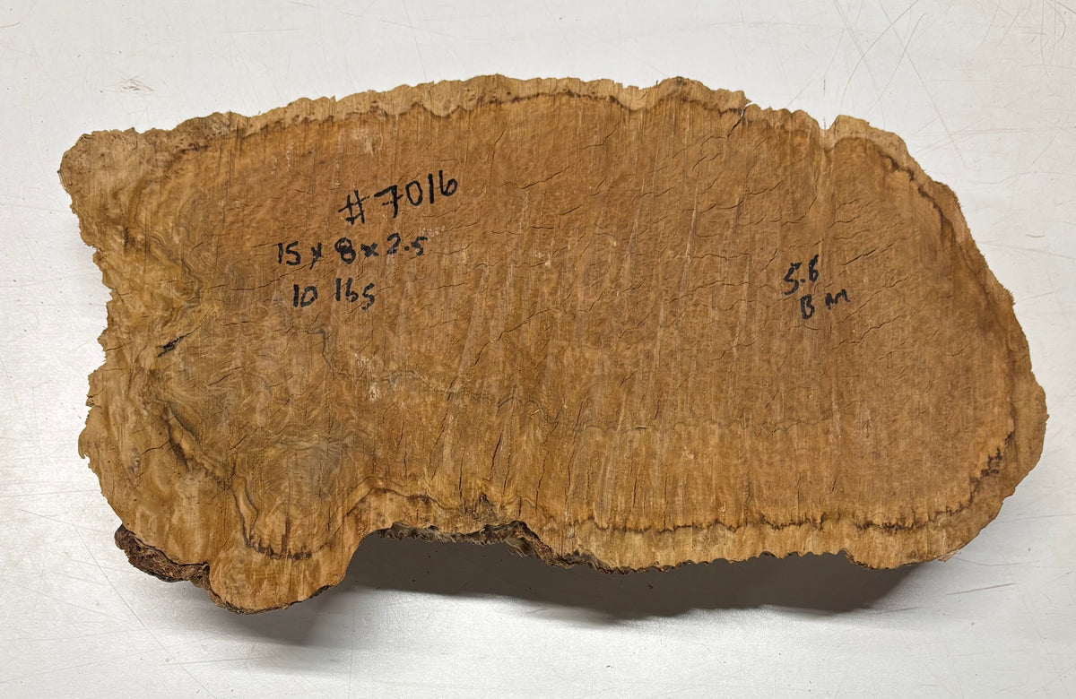 Brown Mallee Burl Blank 15" x 8" x 2.5" 10 Lbs #7016 - Exotic Wood Zone