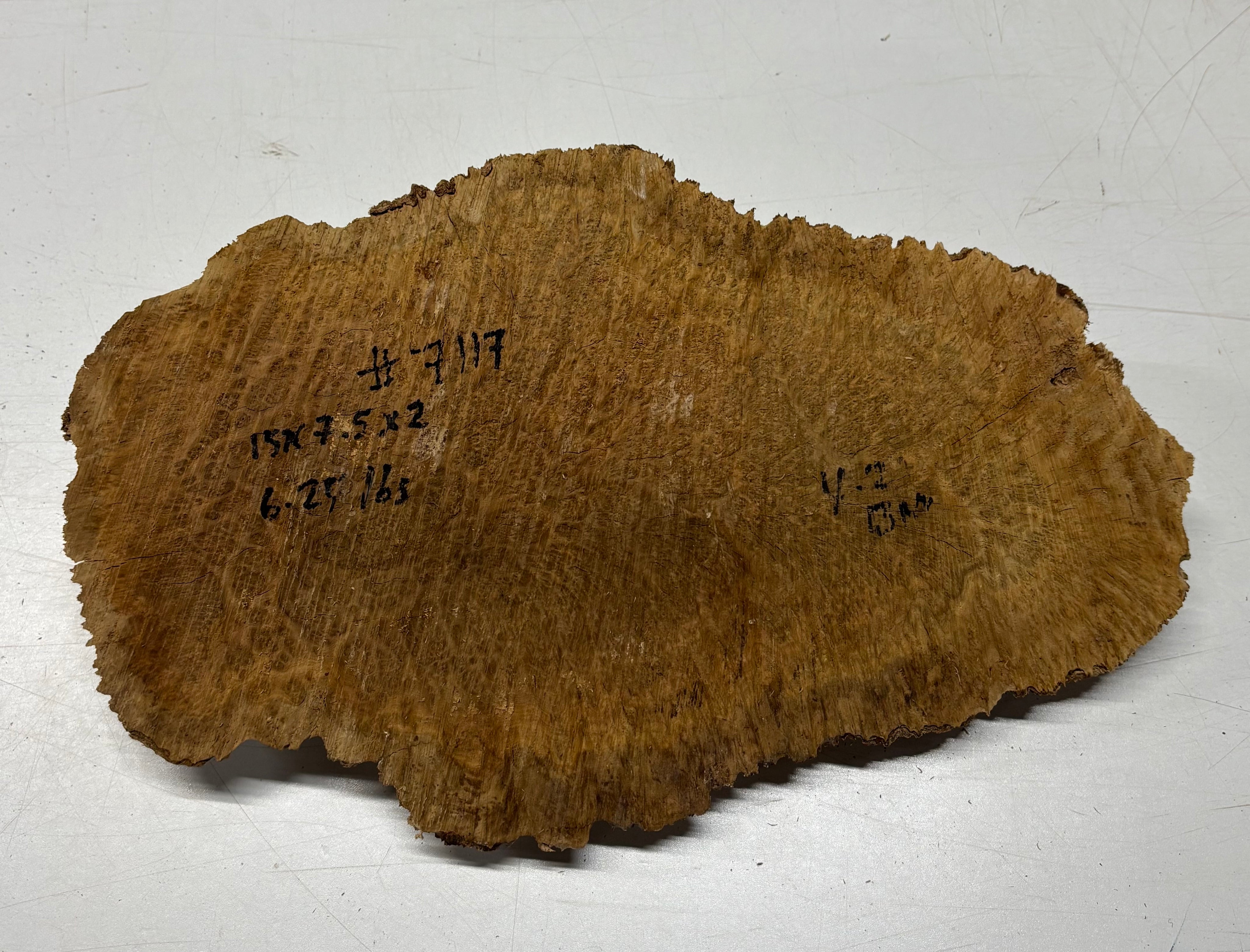 Brown Mallee Burl Blank 15" x 7.5" x 2" 6.25 Lbs #7117 - Exotic Wood Zone