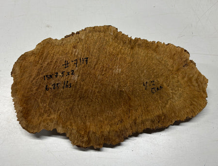 Brown Mallee Burl Blank 15" x 7.5" x 2" 6.25 Lbs #7117 - Exotic Wood Zone