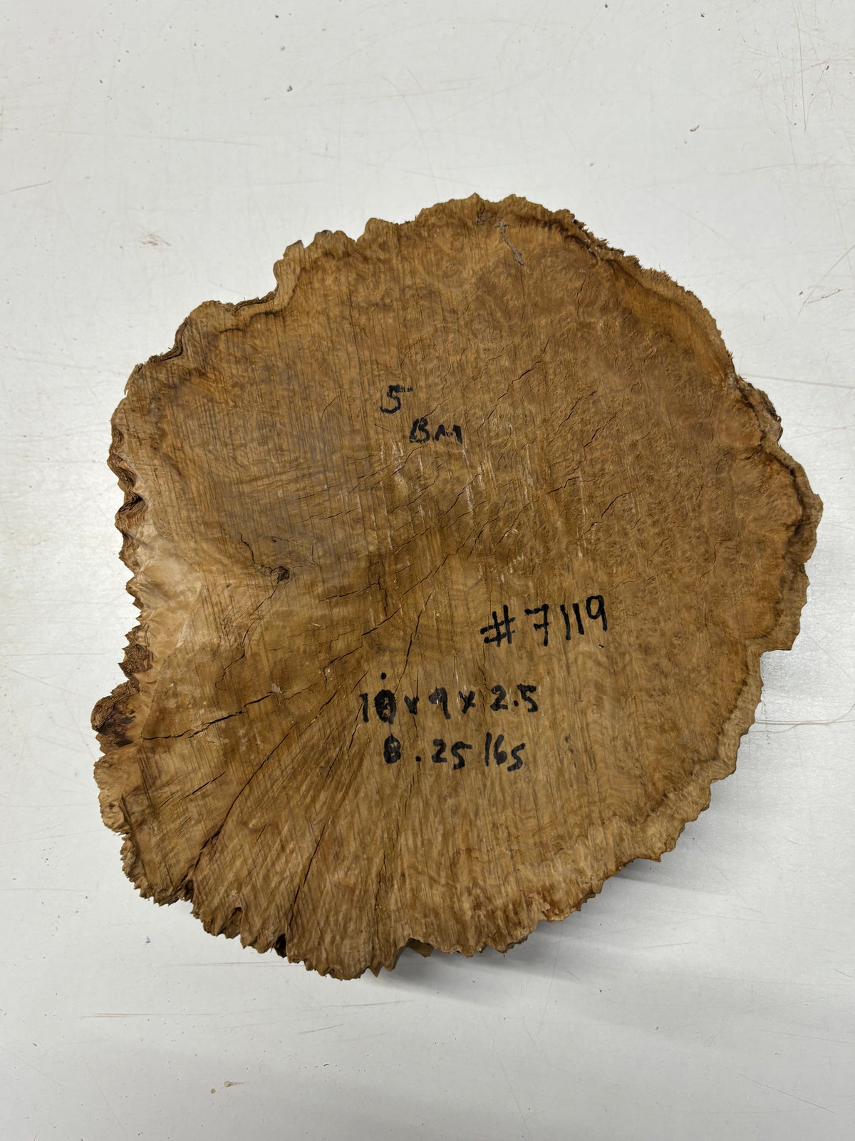 Brown Mallee Burl Blank 10" x 9" x 2.5" 8.25 Lbs #7119 - Exotic Wood Zone