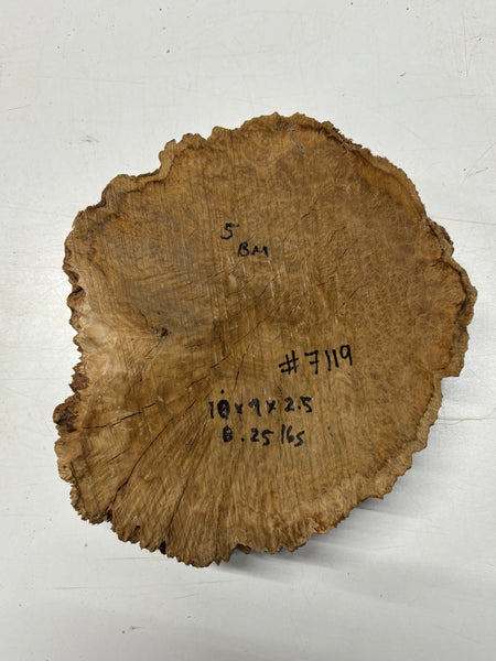 Brown Mallee Burl Blank 10" x 9" x 2.5" 8.25 Lbs #7119 - Exotic Wood Zone
