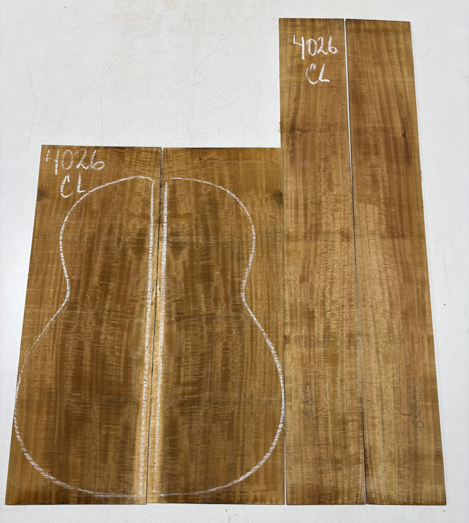 Juego de fondo y aros de guitarra de grado AAAA Dreadnought de palisandro de la India Oriental #61 