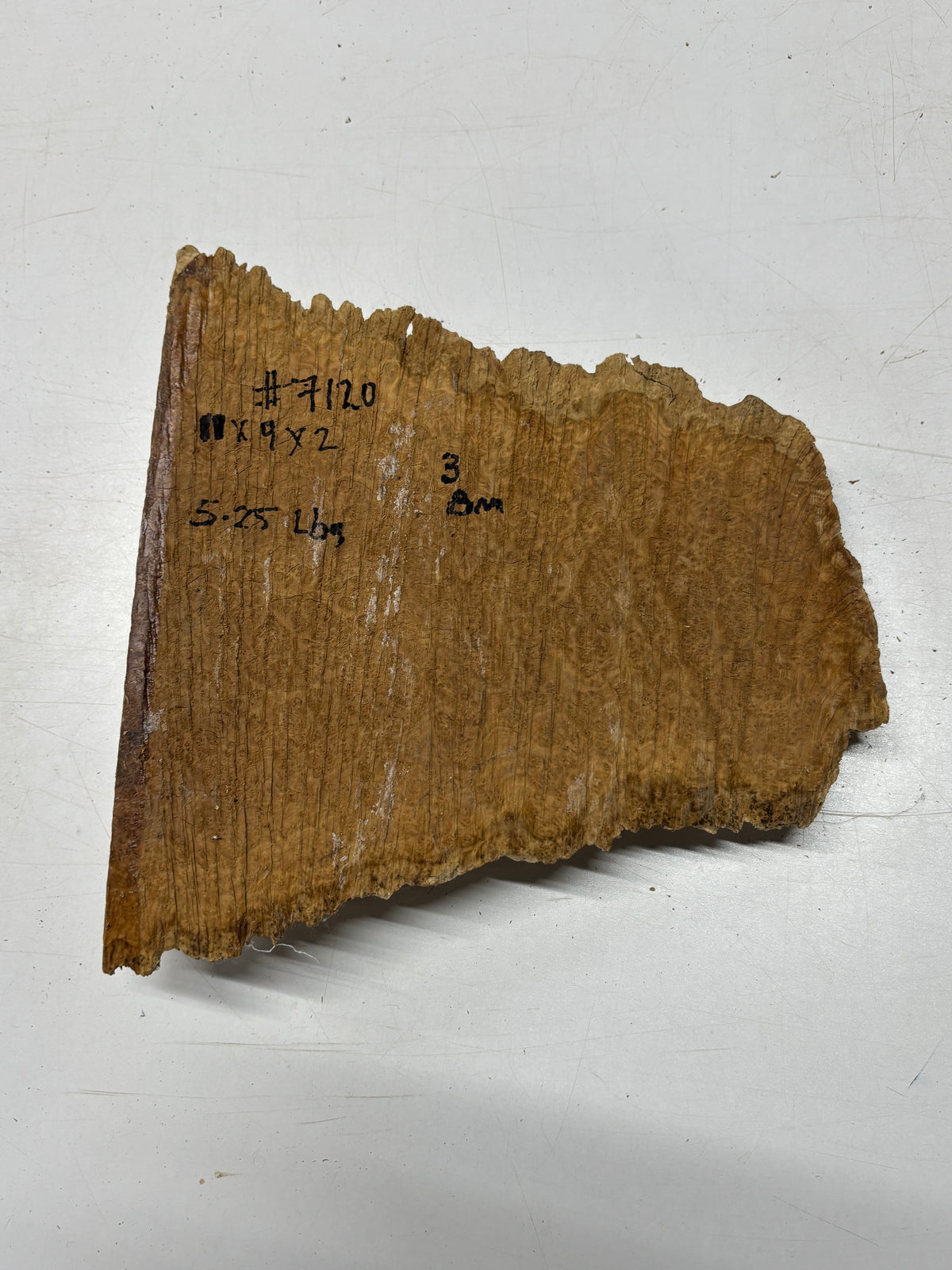 Brown Mallee Burl Blank 11" x 9" x 2" 5.25 Lbs #7120 - Exotic Wood Zone