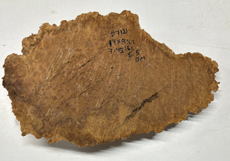 Brown Mallee Burl Blank 17" x 9" x 2" 7.45 Lbs #7121 - Exotic Wood Zone