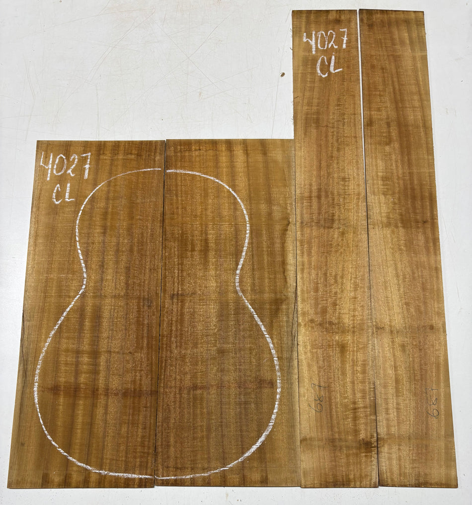 Juego de fondo y aros de guitarra de grado AAAA Dreadnought de palisandro de la India Oriental #61 