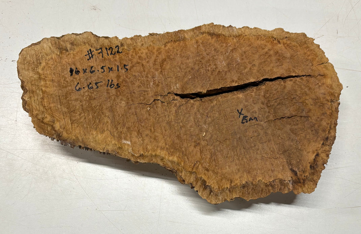 Brown Mallee Burl Blank 16" x 6.5" x 1.5" 6.65 Lbs #7122 - Exotic Wood Zone