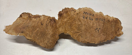Brown Mallee Burl Blank 20" x 5" x 2" 7.6 Lbs #7123 - Exotic Wood Zone