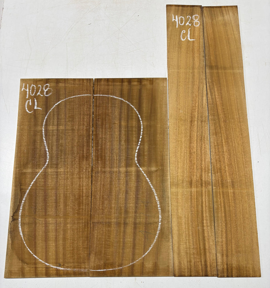 Juego de fondo y aros de guitarra de grado AAAA Dreadnought de palisandro de la India Oriental #61 