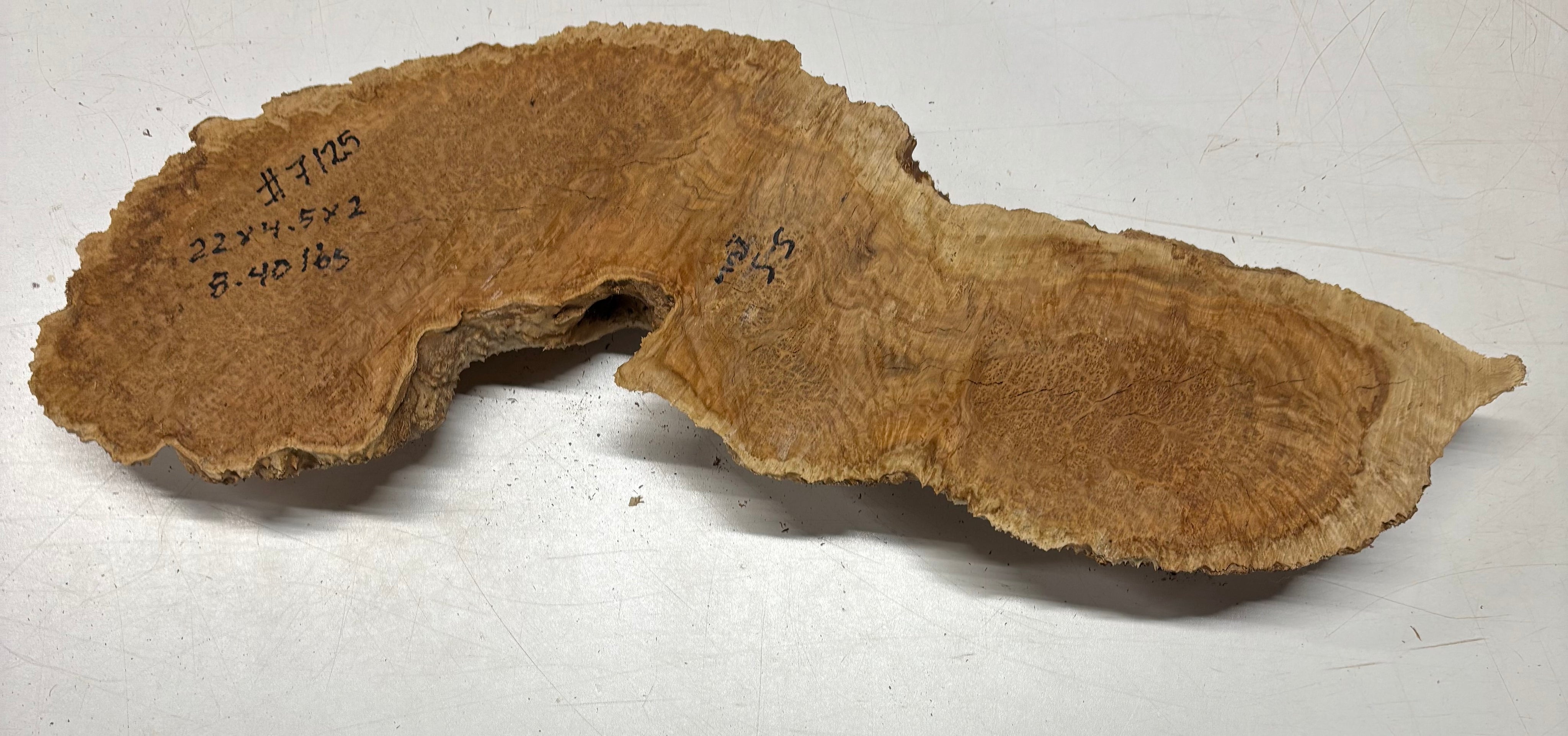 Brown Mallee Burl Blank 22" x 4.5" x 2" 8.4 Lbs #7125 - Exotic Wood Zone