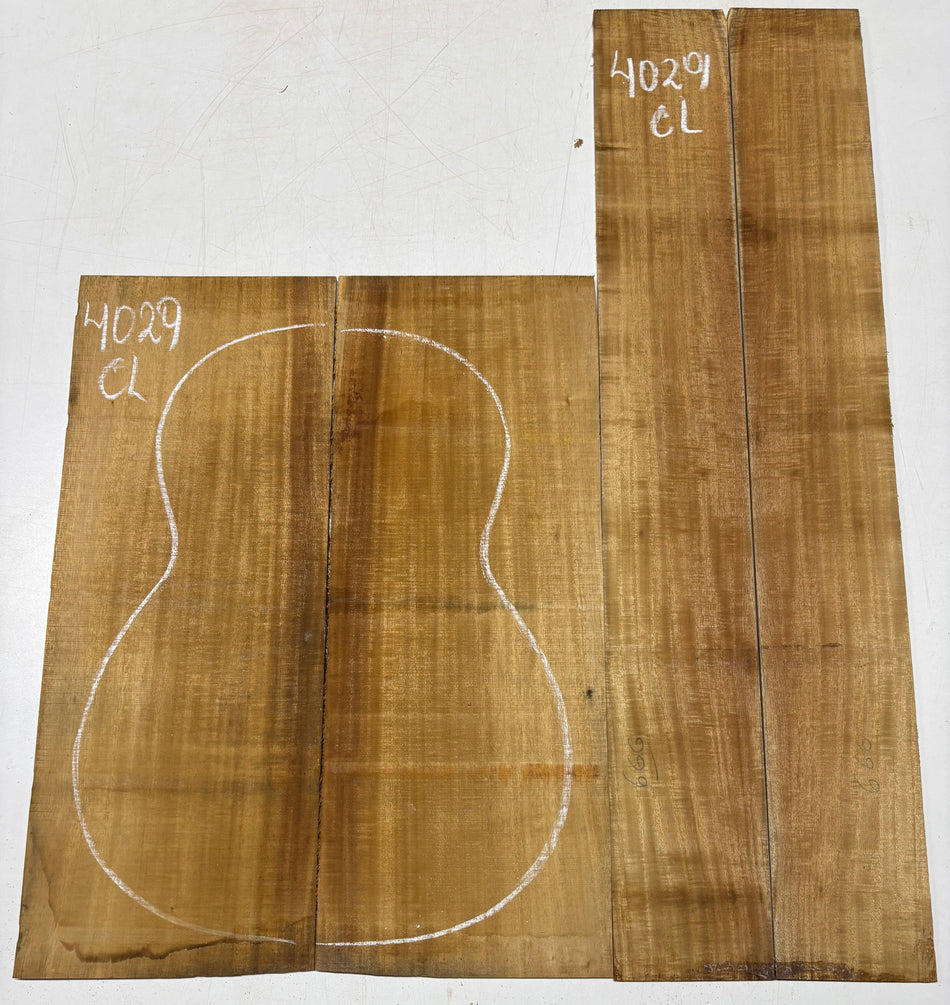 Juego de fondo y aros de guitarra de grado AAAA Dreadnought de palisandro de la India Oriental #61 