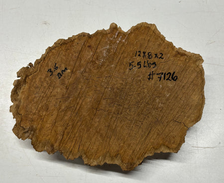 Brown Mallee Burl Blank 12" x 8" x 2" 5.5 Lbs #7126 - Exotic Wood Zone