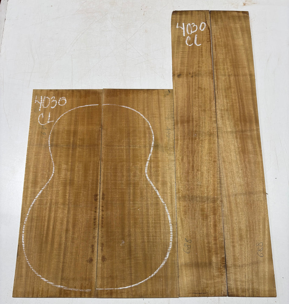 Juego de fondo y aros de guitarra de grado AAAA Dreadnought de palisandro de la India Oriental #61 