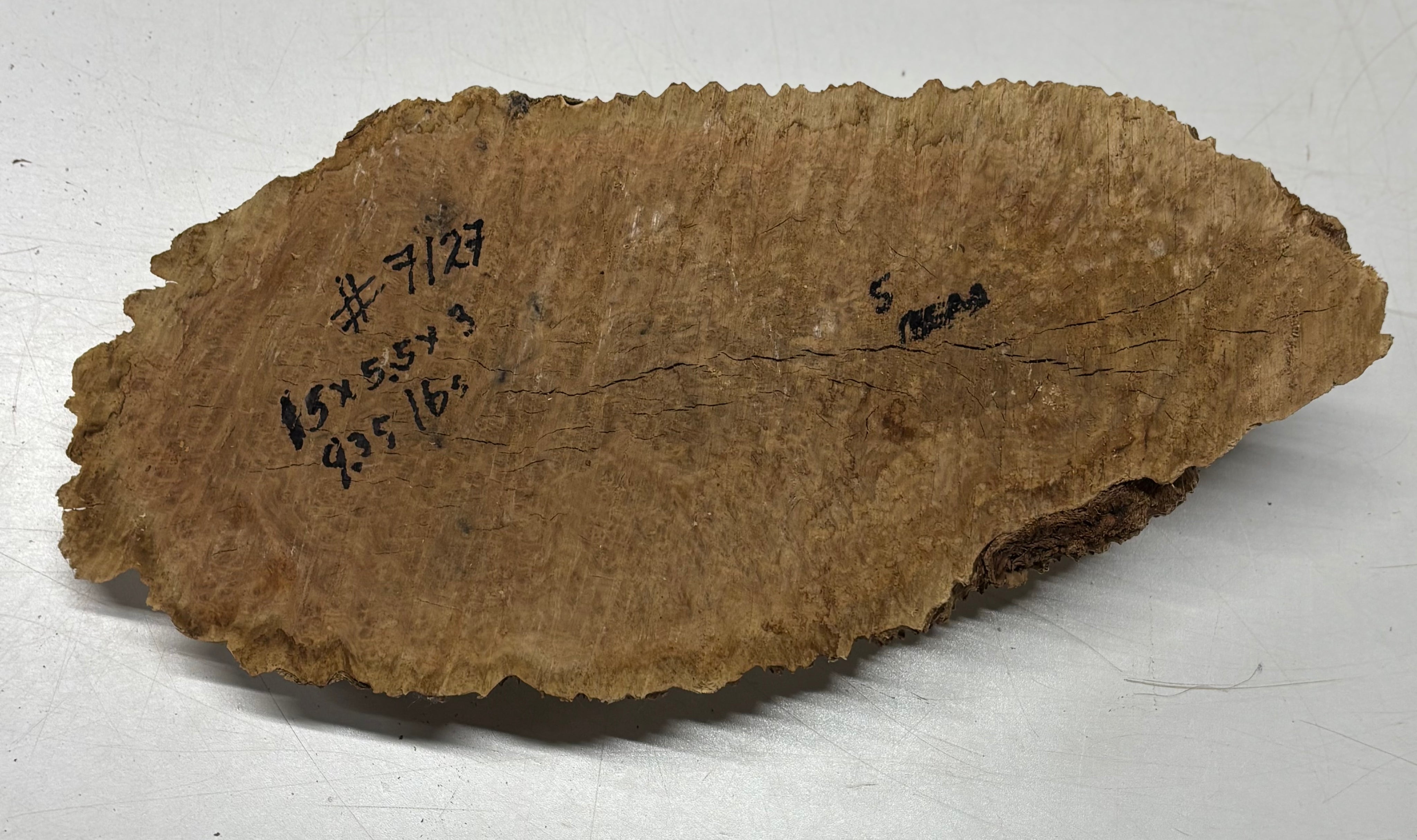 Brown Mallee Burl Blank 15" x 5.5" x 3" 9.35 Lbs #7127 - Exotic Wood Zone