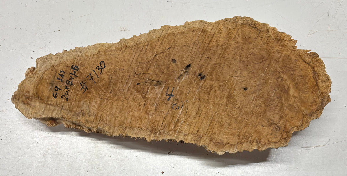 Brown Mallee Burl Blank 20" x 8" x 1.6" 6.4 Lbs #7130 - Exotic Wood Zone