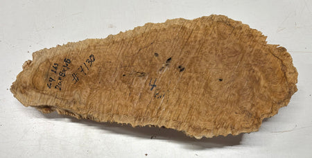 Brown Mallee Burl Blank 20" x 8" x 1.6" 6.4 Lbs #7130 - Exotic Wood Zone