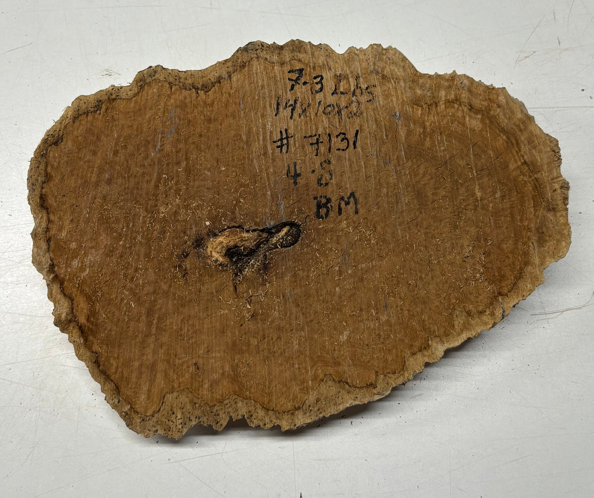 Brown Mallee Burl Blank 14" x 10" x 2" 7.3 Lbs #7131 - Exotic Wood Zone