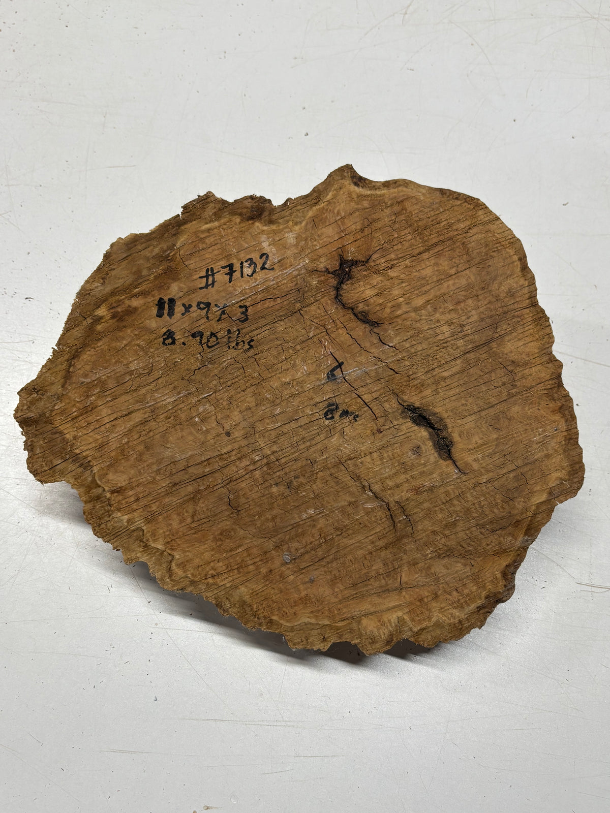 Brown Mallee Burl Blank 11" x 9" x 3" 8.9 Lbs #7132 - Exotic Wood Zone