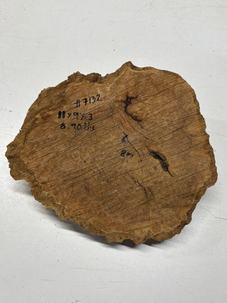 Brown Mallee Burl Blank 11" x 9" x 3" 8.9 Lbs #7132 - Exotic Wood Zone