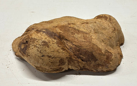 Brown Mallee Burl Blank 10" x 7" x 2" 5.3 Lbs #7133 - Exotic Wood Zone