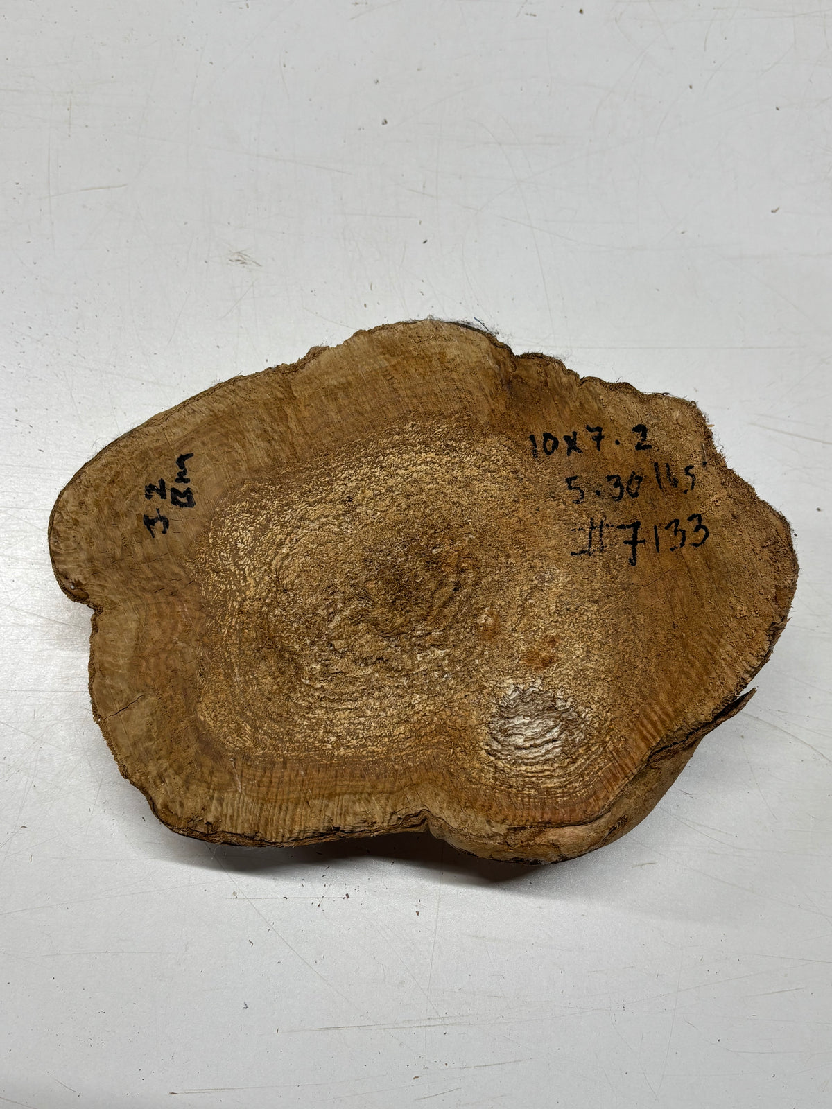 Brown Mallee Burl Blank 10" x 7" x 2" 5.3 Lbs #7133 - Exotic Wood Zone